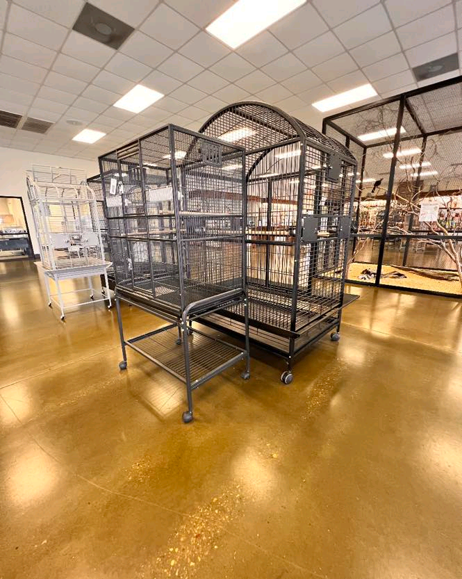 Parrot cage