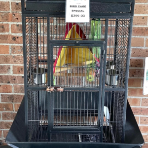 Parrot cage